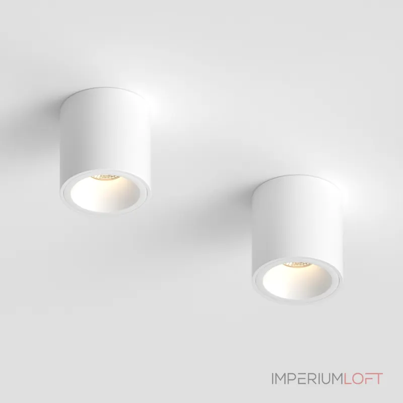 Потолочный светильник под сменную лампу LeDron AO1706041 AO1706041 WHITE от ImperiumLoft Потолочный светильник под сменную лампу LeDron AO1706041 AO1706041 WHITE от ImperiumLoft