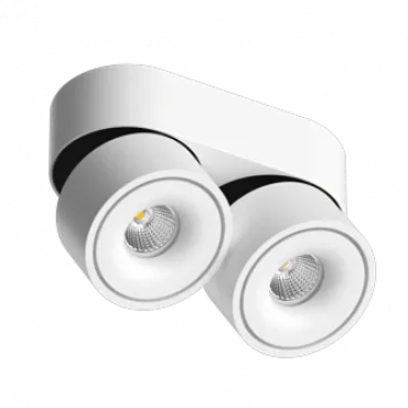 Потолочный поворотный светодиодный светильник LeDron LH13W LH13W 2 White 4000K
