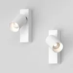Настенно-потолочный поворотный светодиодный светильник LeDron SAGITONY SAGITONY E S60 White от ImperiumLoft