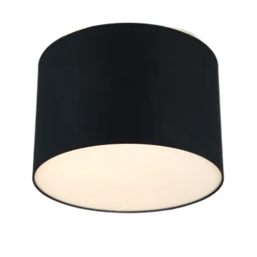 Потолочный светильник LightHall Camerona 45 LH022036
