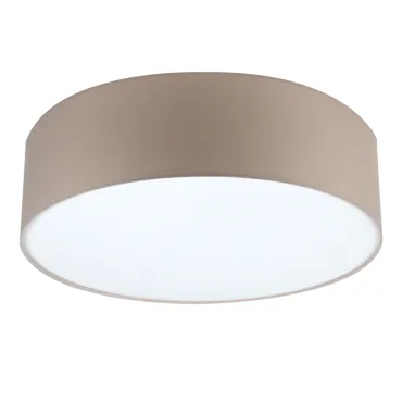 Потолочный светильник LightHall Camerona 65 LH022006 Потолочный светильник LightHall Camerona 65 LH022006