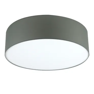 Потолочный светильник LightHall Camerona 65 LH022028