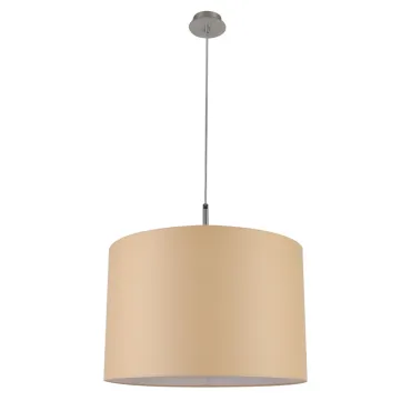 Подвесной светильник LightHall Alicen 45 LH022020 Подвесной светильник LightHall Alicen 45 LH022020