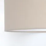 Подвесной светильник LightHall Viviana 65 LH022010