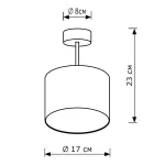 Потолочный светильник LightHall Dream LH012126