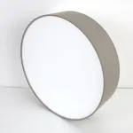 Потолочный светильник LightHall Turdan 50 LH022031