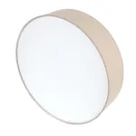 Потолочный светильник LightHall Turdan 50 LH022032