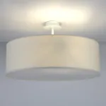 Потолочный светильник LightHall Viviana 50 LH022034