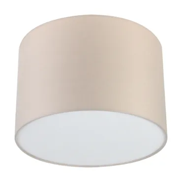 Потолочный светильник LightHall Camerona 45 LH022014 Потолочный светильник LightHall Camerona 45 LH022014