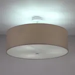 Потолочный светильник LightHall Viviana 50 LH022004