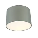 Потолочный светильник LightHall Camerona 45 LH022035