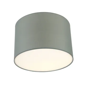 Потолочный светильник LightHall Camerona 45 LH022035