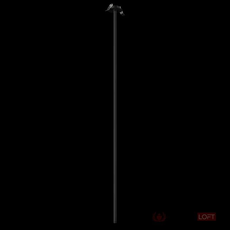 Настенный светильник Loft it Cane 10359/1200 Black от ImperiumLoft