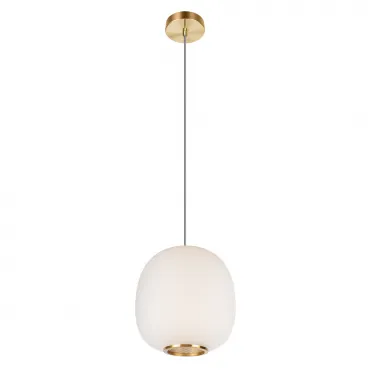 Светильник подвесной Loft it Hive 10425 White