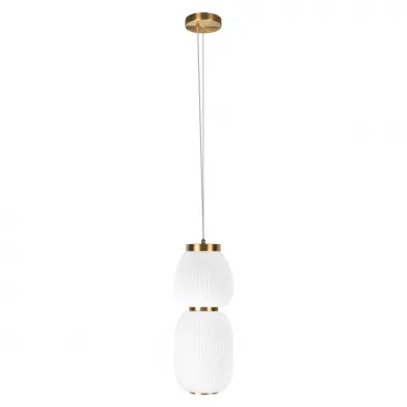 Светильник подвесной Loft it Duff 10422/A