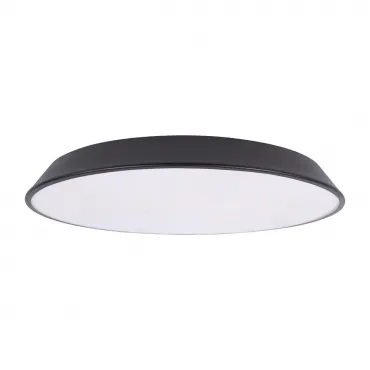 Потолочный светильник LOFT IT Brim 10226 Black