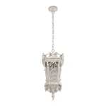 Уличный подвесной светильник Loft it Tremezzo 100019P WBG от ImperiumLoft