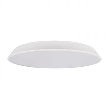 Потолочный светильник LOFT IT Brim 10226 White