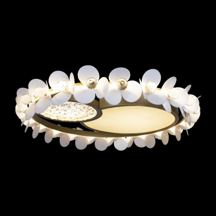 Накладной светильник Loft it Bride 10174 от ImperiumLoft