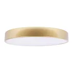 Потолочный светильник LOFT IT Flims 10228/A от ImperiumLoft