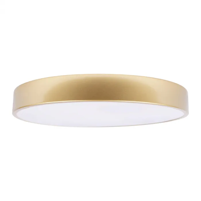 Потолочный светильник LOFT IT Flims 10228/A от ImperiumLoft