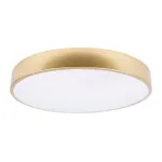 Потолочный светильник LOFT IT Flims 10228/A от ImperiumLoft
