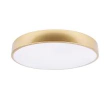 Потолочный светильник LOFT IT Flims 10228/A