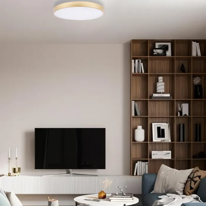 Потолочный светильник LOFT IT Flims 10228/A от ImperiumLoft