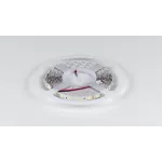 Светодиодная лента LUX, 5050, 60 LED/м, 14,4 Вт/м, 24В, IP33, Холодный белый (6000K), DSG560-24-W-33 от NovaLamp