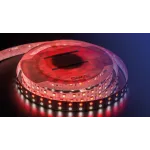 Светодиодная лента IP33 RGB 4000K DSG5120-24-RGB+NW-33
