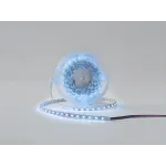 Светодиодная лента RGB IP33, DSG560-24-RGB-33 от NovaLamp