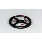 Светодиодная лента SWG PRO 2835, 84 LED/м, 8,6 Вт/м, 24В , IP20, Цвет: Тёплый белый, SWG2P84-24-8.6-WW