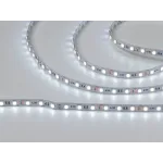 Светодиодная лента 5050, 60 LED/м, 14,4 Вт/м, 12В , IP20, Цвет: Ультрахолодный, SWG560-12-14.4-UW-M