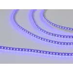 Светодиодная лента 3528, 120 LED/м, 9,6 Вт/м, 12В , IP20, Цвет: Синий, SWG3120-12-9.6-B-M