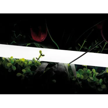 Лента 360 ° светодиодная неоновая 2835 360 LED/м 16 Вт/м 24В IP66 3000K SWG-2360-24-WW-66 Лента 360 ° светодиодная неоновая 2835 360 LED/м 16 Вт/м 24В IP66 3000K SWG-2360-24-WW-66