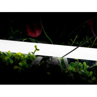 Лента 360 ° светодиодная неоновая 2835 360 LED/м 16 Вт/м 24В  IP66 4000K SWG-2360-24-NW-66