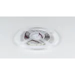 Светодиодная лента SMD-2835 Нейтральный белый тип свечения, DSG2160-24-NW-33 от NovaLamp
