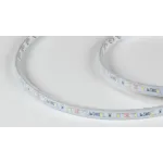 Светодиодная лента 2835, 60 LED/м, 4,8 Вт/м, 12В , IP66, 3M, Цвет: Холодный белый, SWG260-12-4.8-W-66-M
