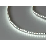 Лента светодиодная SWG PRO SMD 2835 160 LED/м 14,4 Вт/м 24В IP20 Холодный белый