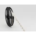Светодиодная лента SWG Standard SWG20240-12-24-W-M