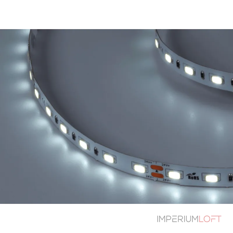 Лента светодиодная DesignLed 5730 W 60L-V24-IP33 6500 K 300 LED 5м 14,4W/m
