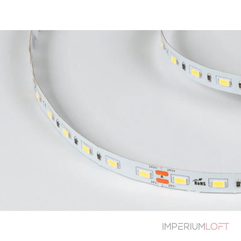 Лента светодиодная DesignLed 5730 W 60L-V24-IP33 6500 K 300 LED 5м 14,4W/m