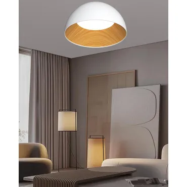 Потолочный светильник Alfa Light F0724-11 Потолочный светильник Alfa Light F0724-11