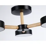 Подвесной светодиодный светильник с пультом Ambrella COMFORT FL4823