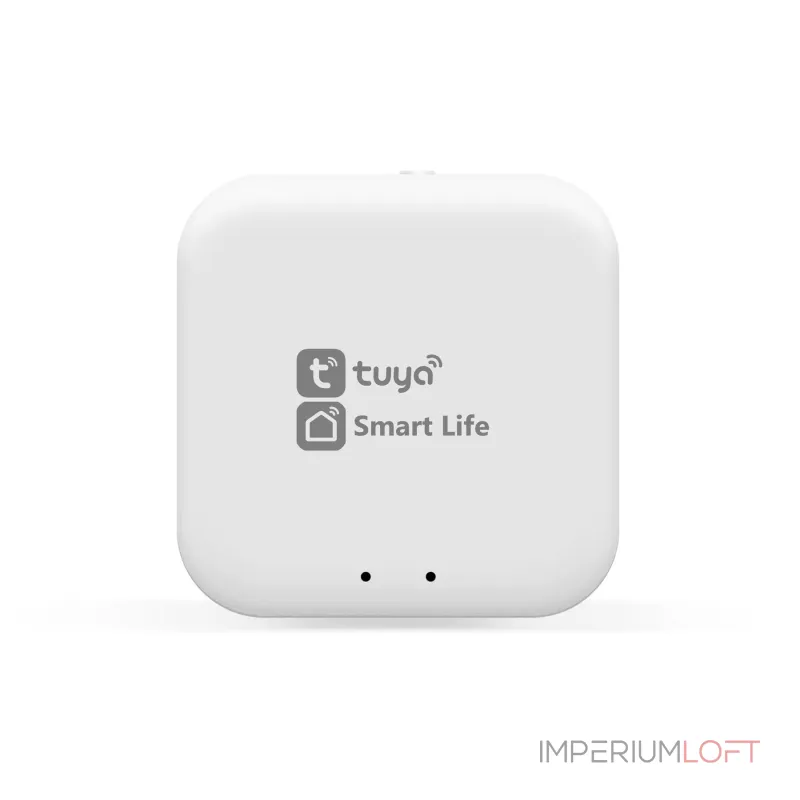 Конвертер Wi-Fi управления светильниками Wi-Fi TUYA/Smart Life Ambrella TRACK SYSTEM GL1920