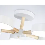 Подвесной светодиодный светильник с пультом Ambrella COMFORT FL4825