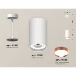 Светильник подвесной Ambrella DIY System Complects XP8161014 от ImperiumLoft
