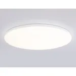 Умный светодиодный светильник Smart Ambrella Light 30W с Wi-Fi, Яндекс Алисой, Tuya, Smart Home, Alexa и ИК пультом Ambrella ORBITAL FZ2003 от ImperiumLoft