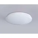 Светильник потолочный Ambrella ORBITAL FZ417 от ImperiumLoft