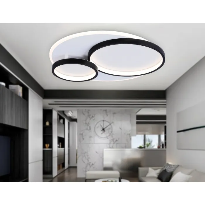Настенно-потолочный светодиодный светильник с пультом Ambrella ACRYLICA FA7719 от ImperiumLoft